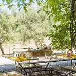 Glicine Podere Giardino Montalcino