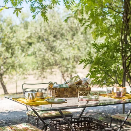 Glicine Podere Giardino *